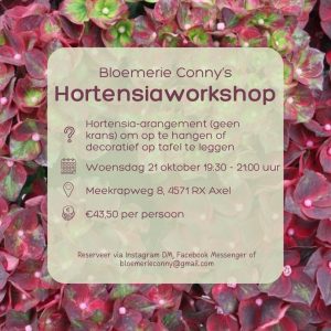 Hortensia workshop bloemschikken